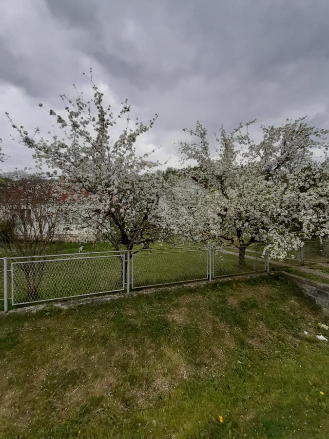Apartman Djokovic Mokra Gora Exterior photo